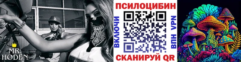 Псилоцибиновые грибы Magic Shrooms  Юрьев-Польский 